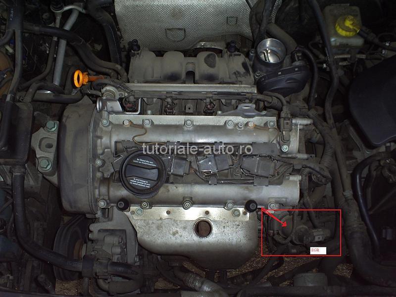 Curatare valva EGR motoare 1.4 1.6 benzina Golf IV Bora Jetta  